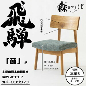 HIDA _CjO`FA X̂Ƃ `FA Jo[O^Cvi{vBj I[N IׂJ[/Iׂ鍂 ˎY/SN240C/SN240CH/{/Bꖳ/R 10Nۏ/1r̔/