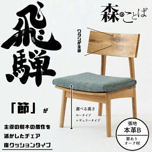 HIDA _CjO`FA X̂Ƃ `FA NbV^Cvin{vBj I[N IׂJ[/Iׂ鍂 ˎY/SN240/SN240H/{/Bꖳ/R 10Nۏ/1r̔/