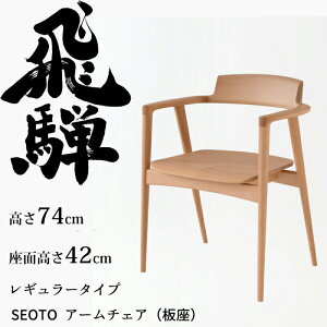 HIDA A[`FA ZIg M[^Cv  r[` IׂJ[ ˎY/SEOTO/_CjO`FA/KD221AB/{/wɗD֎q/It֎q 10Nۏ/1r̔/