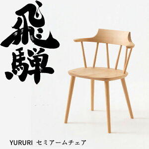 HIDA Z~A[`FA YURURI  r[` IׂJ[ ˎY/_CjO`FA/SL221AB/{/wɗD֎q/ۂ݂̂`FA/RpNg`FA/`CIt֎q 10Nۏ/1r̔/