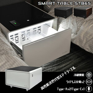 X}[ge[u LOOSER STB65 66.7cm iCge[u Z^[e[u rOe[u ①65L USB|[g ANCg ^b`pl@\ X^CbV RpNg C [U[