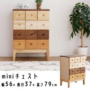 y10/1Ɏg N[|zzz~j`FXg 56cm ؂[`FXg Vv ؐ oΉ  o[` Cv EH[ibg A_[ d`FXg 