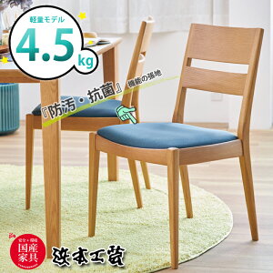 l{H| _CjO`FA DC-2900 i/zU[j 49cm y4.5kg I[NC/YƋ/Ki/H֎q/SnǂSn/hER/{/5Nۏ/`FAP/