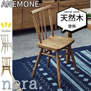 nora. _CjO`FA ANEMONE o[`/AbV IׂJ[։Ƌ/m/A}l/Jg[/VR/C/RpNg`FA/lĈ֎q1r̔/