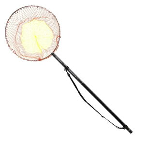 _C(DAIWA) ԕtʂ̕ vOhʖ 60-60EW