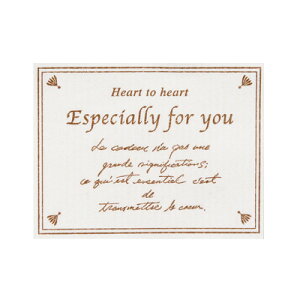 CK-1S ESPECIALLYFORYOUNtgV[ 100 { Mtg bsO   킢 obO V[ J[h }{ q ii Ղ   }603[25H23]