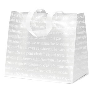 FS-2MB t`tXgChobO-M 20 { Mtg bsO    킢 obO PEtXg }{ q ii Ղ   }603[25H23]