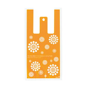 HKU-S kWobO-S 100 { Mtg bsO    킢 obO W }{ q ii Ղ   }603[25I13]