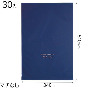 EVN-BL nobOlCr[-L 30 { Mtg bsO  ȒP  F u[ lCr[ F n }{ bsOpi v[g yY  Cxg p[eB[ }603[25H23]