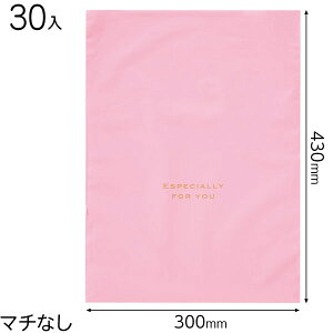 EVP-BLM nobOsN-LM 30 { Mtg bsO  ȒP  n }{ bsOpi v[g yY  Cxg p[eB[ }603[25H23]