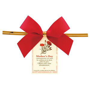 MA-YT2 }U[YfCC[^C-2 ( 10 ) { Mtg bsO ̓ bsOpi bsO }603[25H23]