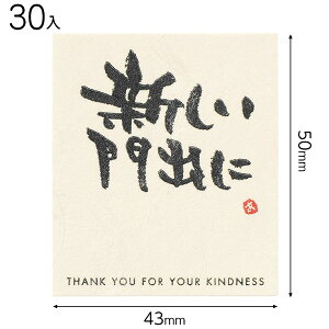 MS-10S bZ[WV[|10^Vo 30 { Mtg bsO bsO ȒP   킢 }{ bsOpi  v[g yY Cxg p[eB[ }603[25H23]