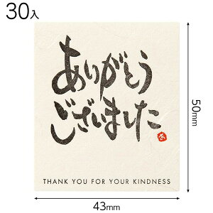 MS-20S bZ[WV[|20^AKgESUC}V^ 30 { Mtg bsO bsO ȒP   킢 }{ bsOpi  v[g yY Cxg p[eB[ }603[2