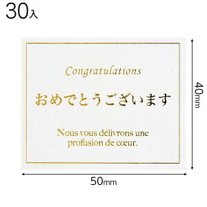 MSE-2S bZ[WV[GKg|2 ( 30 ) { Mtg bsO bsO ȒP   킢 }{ bsOpi  v[g yY Cxg p[eB[ }603[25H23]