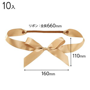 SAG-TR2 Te{S^bOS[h|2 ( 10 ) { Mtg bsO bsO ȒP  ̓ NX}X }{ bsOpi  v[g yY Cxg p[eB[ }603[25H23]