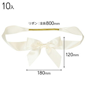 SAI-TR1 Te{S^bOAC{[|1 ( 10 ) { Mtg bsO bsO ȒP  Vv 킢 ̓ NX}X }{ bsOpi  v[g yY Cxg p