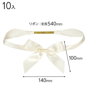 SAI-TR3 Te{S^bOAC{[|3 ( 10 ) { Mtg bsO bsO ȒP  Vv 킢 ̓ NX}X }{ bsOpi  v[g yY Cxg p