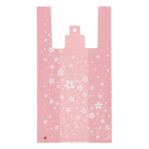 SKR-M 烌WobO-M 100 { Mtg bsO a a  bsOpi  bsO rj[ W 킢 }603[25H23]