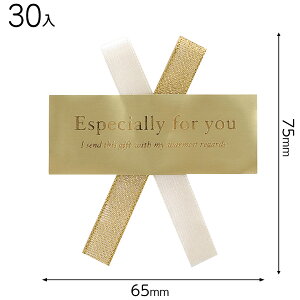 WR-1S _u{V[^-1 ( 30 ) { Mtg bsO XebJ[  ȒP  S[h }{ bsOpi v[g yY  Cxg p[eB[ }603[25H23]