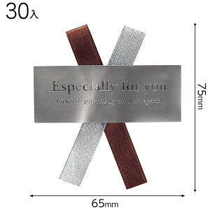 WR-2S _u{V[^-2 ( 30 ) { Mtg bsO XebJ[  ȒP  Vo[ }{ bsOpi v[g yY  Cxg p[eB[ }603[25H23]