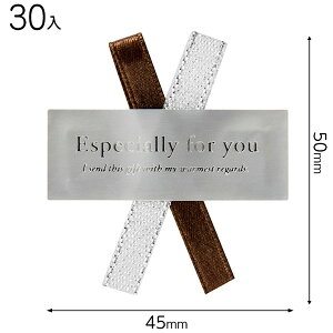 WR-4S _u{V[^-4 ( 30 ) { Mtg bsO XebJ[  ȒP  Vo[ }{ bsOpi v[g yY  Cxg p[eB[ }603[25H23]