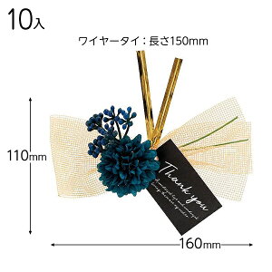 ZAR-YT2 t[AWC[^C|2^u[O[ 10 { Mtg bsO bsO ȒP ^O  킢  }{ bsOpi  v[g yY Cxg p[