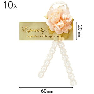 ZPC-1S t[{tV[|1 ( 10 ) { Mtg bsO bsO ȒP   킢 }{ bsOpi  v[g yY Cxg p[eB[ }603[25H23]