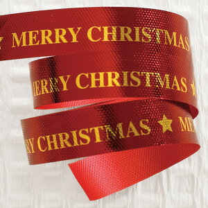 X-R1 NX}XvgJ[O{-1 ( 1 ) { NX}X bsO   }{ bsOpi  Mtg v[g q ii yY  Cxg p[eB[ q }603[25H23]