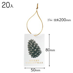 X-TR3 NX}XS^bO mg[[3 ( 20 ) { NX}X bsO Mtg bsO bsO ȒP   Vv 킢 NX}X }{ bsOpi  v[