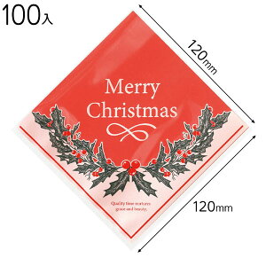 XMW-SQC NX}X[XV[obO 100 { Hi XC[c eCNAEg  킢 }{ Hi Hi bsO  Mtg v[g  ĝ }603[25H23]