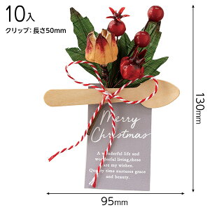 ZX-CL2 NX}Xt[Nbvt^O[-2 ( 10 ) { NX}X bsO   ȒP }{ bsOpi  Mtg v[g q ii yY  Cxg p[eB[ 