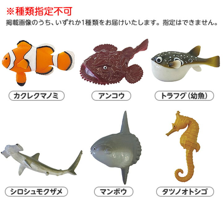 楽天市場 学研の図鑑ライブ 魚バスボール 魚 海の生き物 知育 学習 イベント パーティー 装飾 飾り 誕生日 バースデー お祝い デコレーション 21f03 フェスティバルプラザ 楽天市場 学研の図鑑ライブ 魚バスボール 魚 海の生き物 知育 学習 イベント パーティー 装飾 飾り 誕生日 バースデー お祝い デコレーション 21f03 フェスティバルプラザ