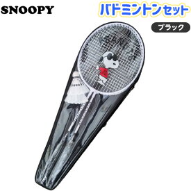 楽天市場 バドミントンセット キャラクターの通販