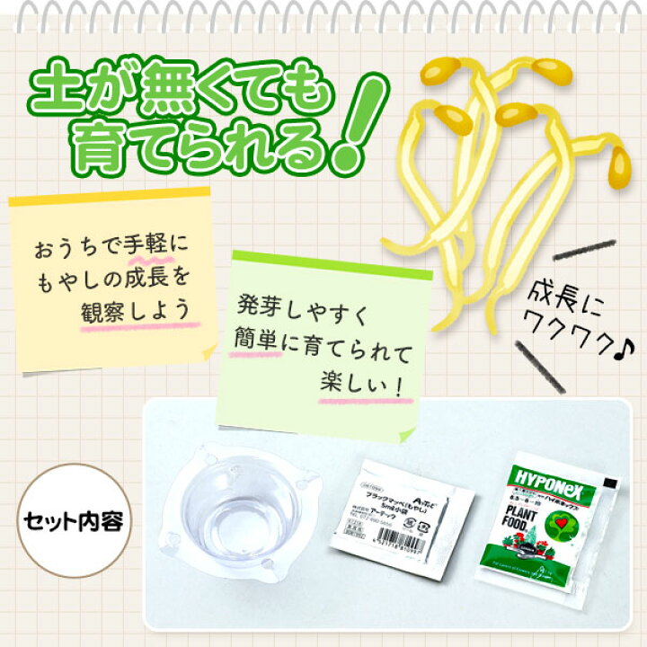 楽天市場 水耕栽培で育てる 黒豆もやし もやし 植物 育成 栽培 知育 工作 実験 手作り 夏休み 課題 宿題 自由研究 学校 おうち ハンドクラフト アーテック Artec 22c04 フェスティバルプラザ
