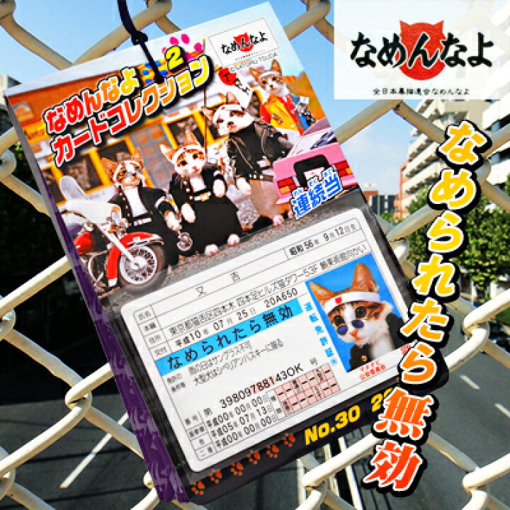 楽天市場 30 付 なめんなよ なめ猫 カードコレクション バージョン指定不可 キャラクター なめねこ なめ猫 免許証 15 1218 子供会 景品 お祭り くじ引き 縁日 フェスティバルプラザ