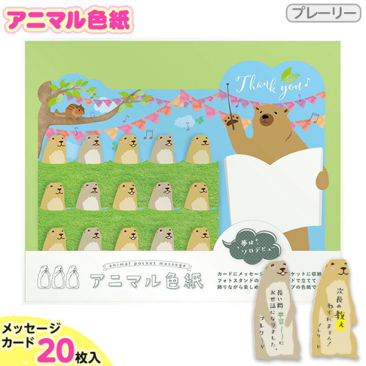 楽天市場 アニマル色紙 プレーリー 新入学文具 プレーリードック 色紙 寄せ書き メッセージボード サイン色紙 卒業 卒園 送別 21b06 フェスティバルプラザ