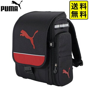 PUMA v[} y wbN ELbg bh PM503RD Nc { Vw bN hZ y NbV   j̎q wpi Vw w wZ w v[