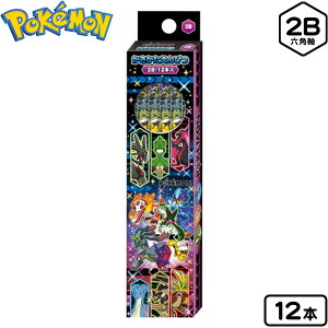 VEm[g |PbgX^[ ҂ 2B 12{ 452729012 { Vw |P M M M Zp _[X j̎q }{  2026 [ MLp w w