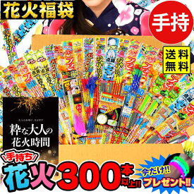 手持ち花火 300本以上 詰め合わせセット 花火福袋 大量 花火問屋の店長が自信を持ってオススメ致します 花火セット 手持花火 手持ち花火 手持ち 花火 セット { 花火 }{ セット 手持ち }[26E13][omkAA-543982omk]{配送区分A} 送料無料(※沖縄・離島発送不可)