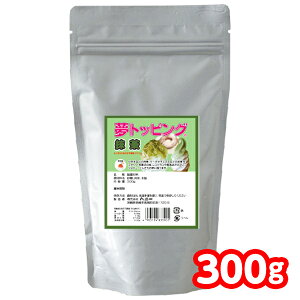 VRÖpE_[ gbsO  300g { XVbv }{ gbsO X ӂ肩 Ɩp q ii Ղ   XgbsO }[24G06]