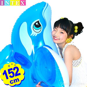 CebNX t[g V` u[ gzG[ChI 58523 152cm INTEX {  rj[{[g  Ch q }{  傫 t[g V  ][g Aj}t[