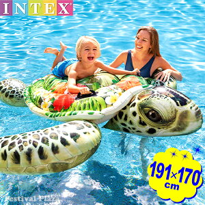 CebNX t[g A^[g  575555 191×170cm INTEX {  傫 J T A  r[`{[g }{ Y l q ǂ ][g C  v[ }3182[25H13] {z