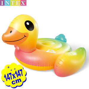 CebNX t[g xr[ CG[_bN 57556 147x147x81cm INTEX {  Aq 傫 V r[`{[g }{ 킢 IV l q ][g }902[25D29] {z敪D}