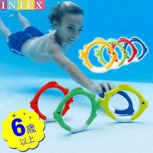 CebNX A_[EH[^[ tBbVO 55507 INTEX {   _CrO   O }{ v[ v[pi V q c 킢 IV CO v[g }[25D29]