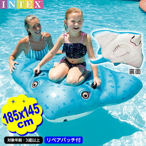 CebNX XeBOC ChI t[g 57576 1D85mx1D45m INTEX {    j̎q }{ v[    t[g C r[`  v[pi V q v[g }[