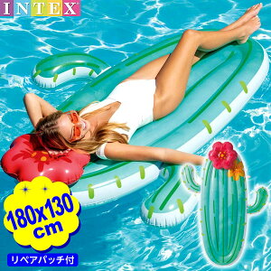 CebNX JN^X t[g 58793 1D8mx1D3mx28cm INTEX {  T{e }{ v[    C r[`  v[pi q l 킢 IV v[g }[25H09] {z敪D}