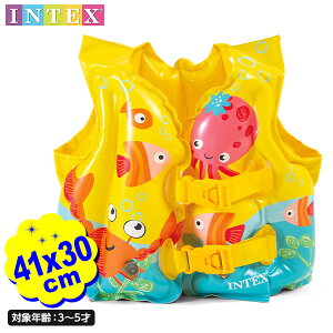 CebNX gsJofB XCxXg 59661 41x30cm INTEX {  킢  CtWPbg LbY q ǂ XCxXg }{ v[ qp C r[`  V ċx }[2