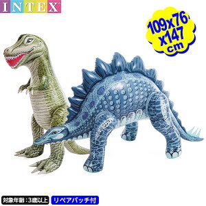 CebNX WVbN fBm pY eBmTEX XeSTEX 48593 INTEX Fws{  WVbN  GA[ߋ AEghA ChA }{ v[ C r[`  V