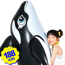 楽天市場】ビッグシャチフロートの通販