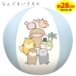 Ȃł r[`{[ 28cm {  {[ 킢 ̎q lC LN^[ }{ v[    t[g C r[`  v[pi V W[ q Mtg a